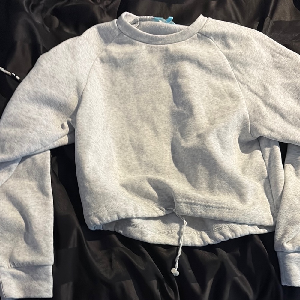 Gray Cropped Sweatshirt